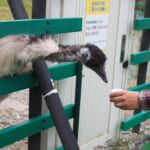 【画像】鷹もインコも乗ってくる⁉︎　鳥との距離感がとにかく近い体験型テーマパーク「掛川花鳥園」 〜 画像1