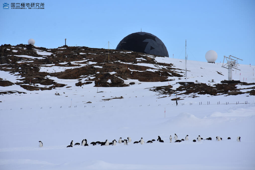 昭和基地のインテルサット衛星通信設備