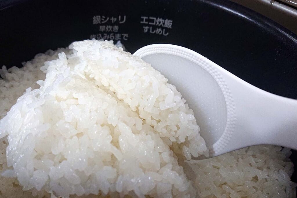 炊飯器で炊いた白米