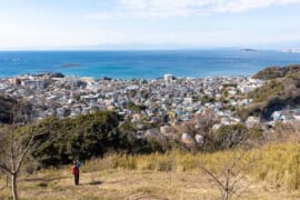 仙元山山頂から望む湘南の海