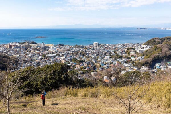 仙元山山頂から望む湘南の海