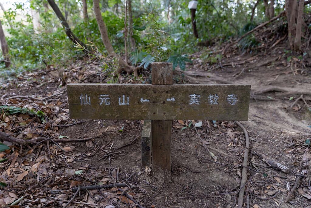 仙元山ハイキングコースの道しるべ