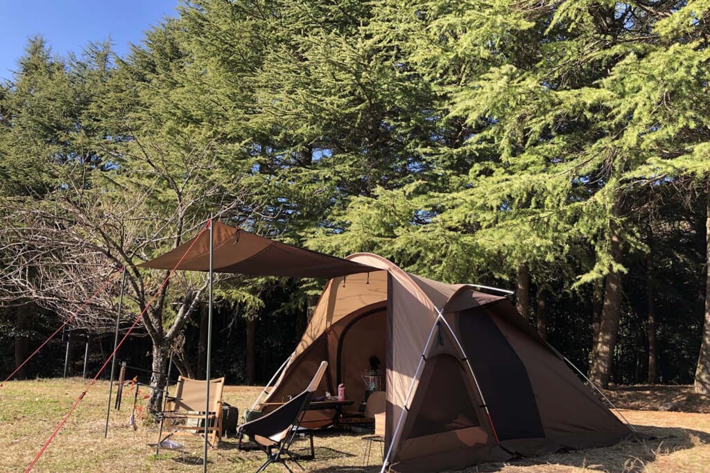 ファミキャン向きのドーム型テント