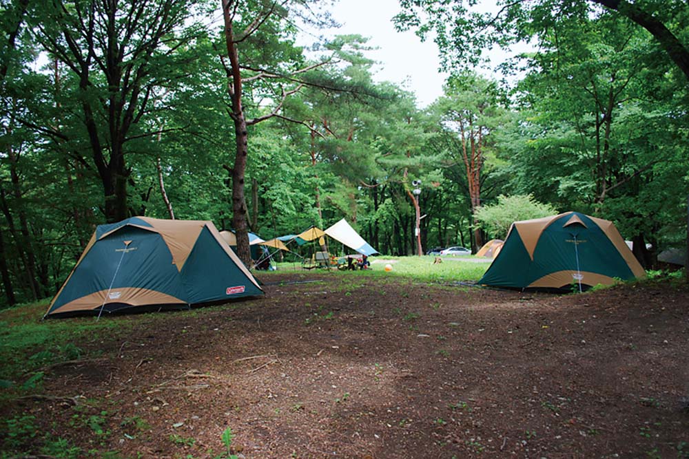 みどりの村キャンプ場のテントサイト