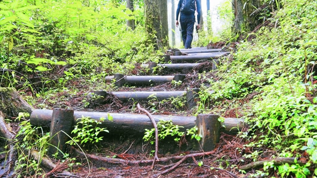 登山道