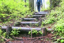 登山道