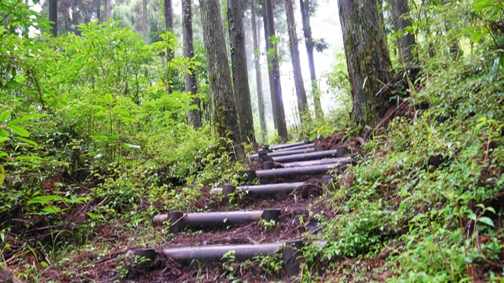 登山道