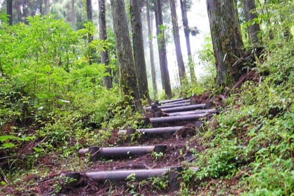 登山道