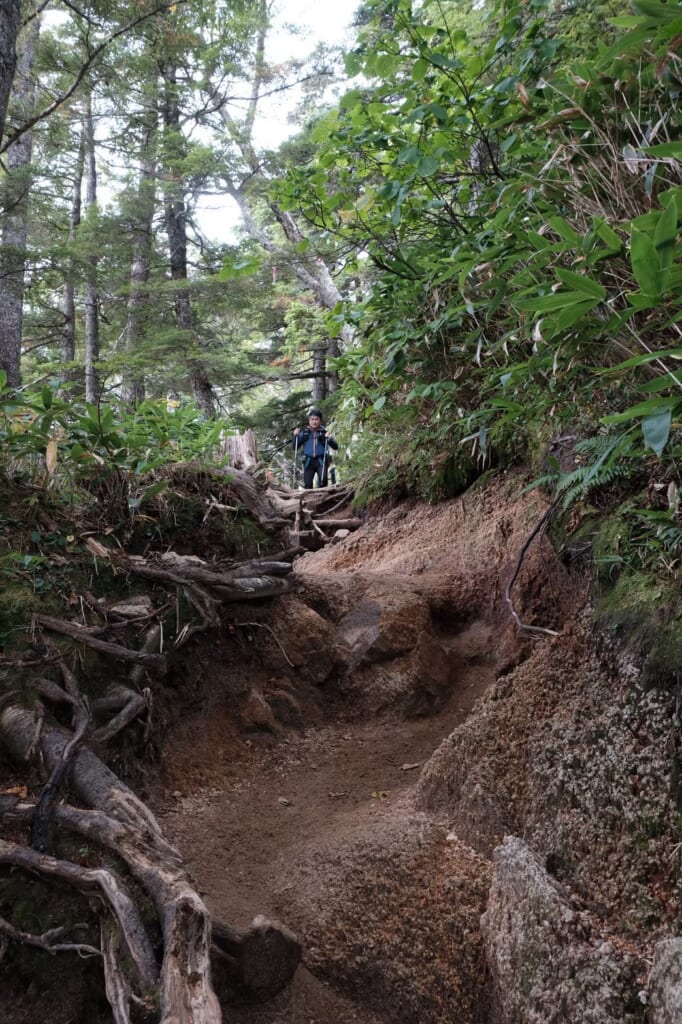 燕岳の大きな石がたくさんある登山道