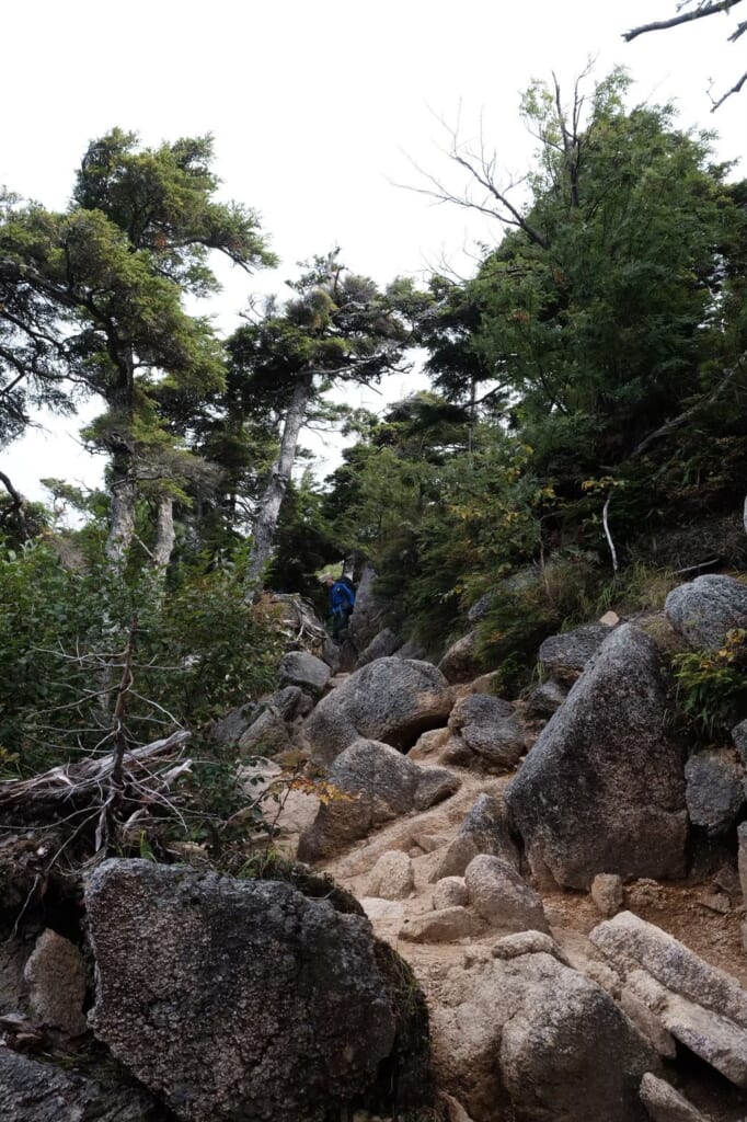 燕岳の大きな石がたくさんある登山道