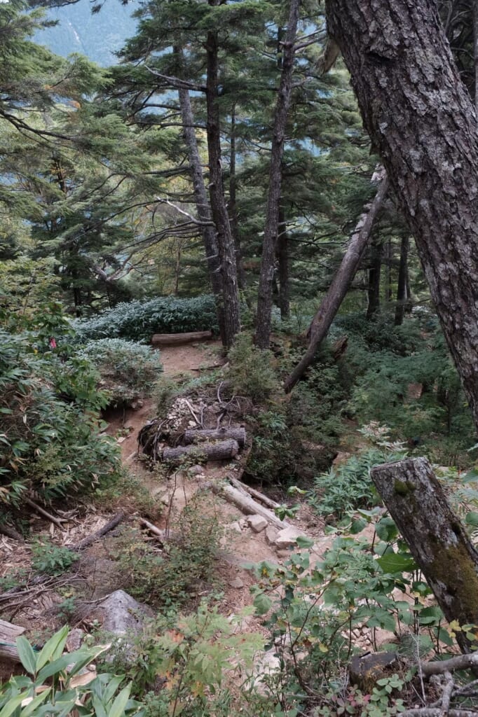 燕岳の下山時通った獣道