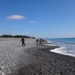 【画像】神秘と絶景の熊野古道を歩く vol.02  神宿る岩と美しき海景色を愛でる「熊野古道伊勢路.01」【近畿エリア】 〜 画像1