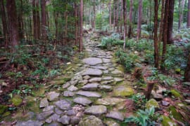 馬越峠の石畳