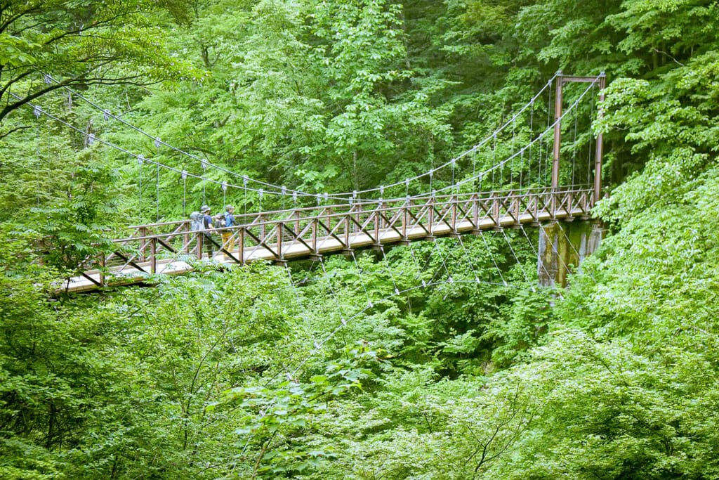 三頭大滝を臨む吊り橋
