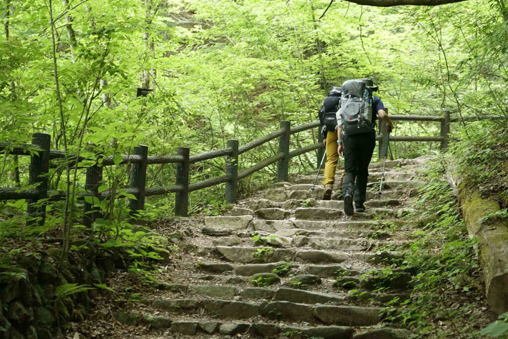 三頭山の整備された石の階段