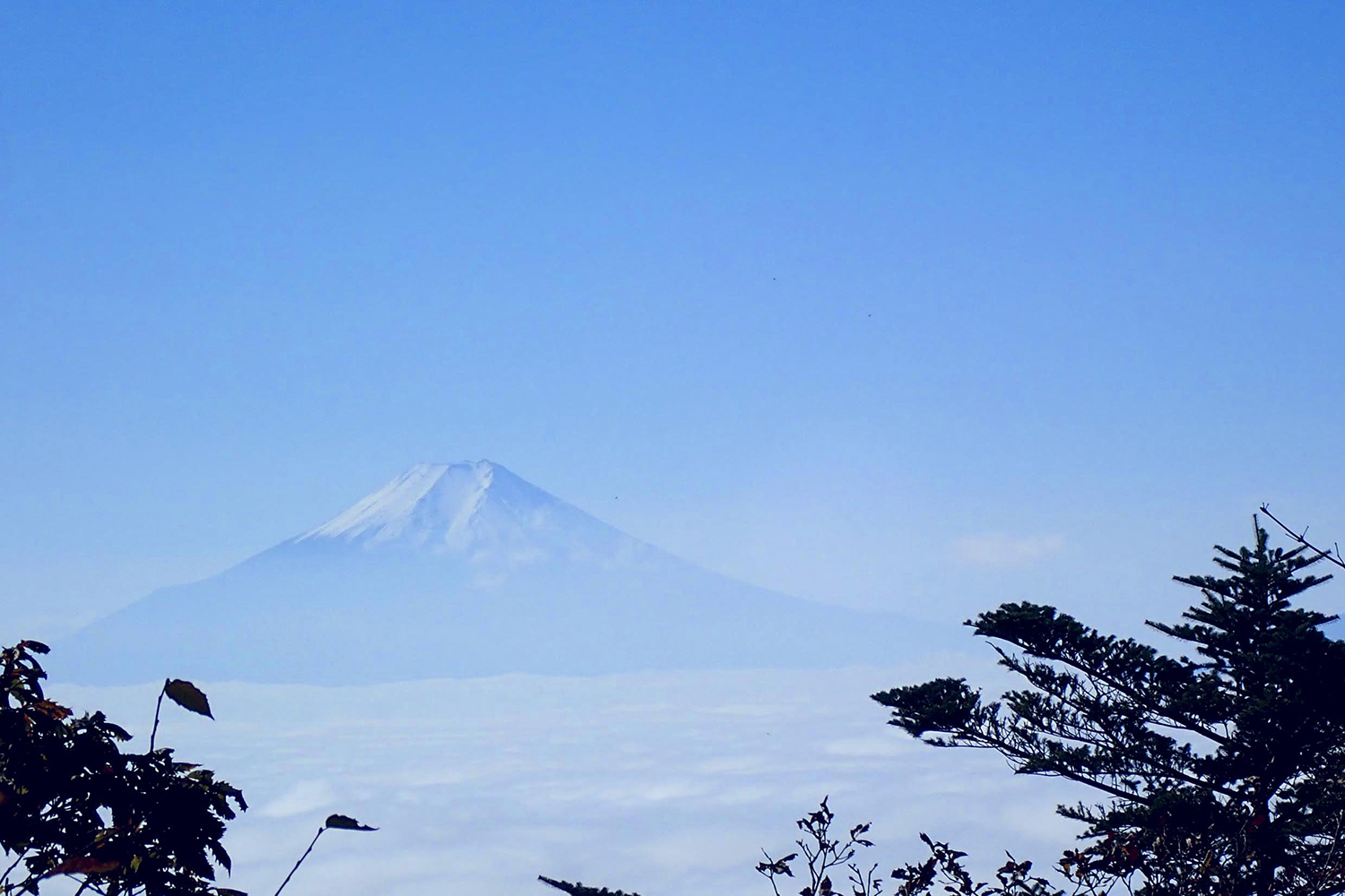 三頭山山頂の西峰から望む富士山