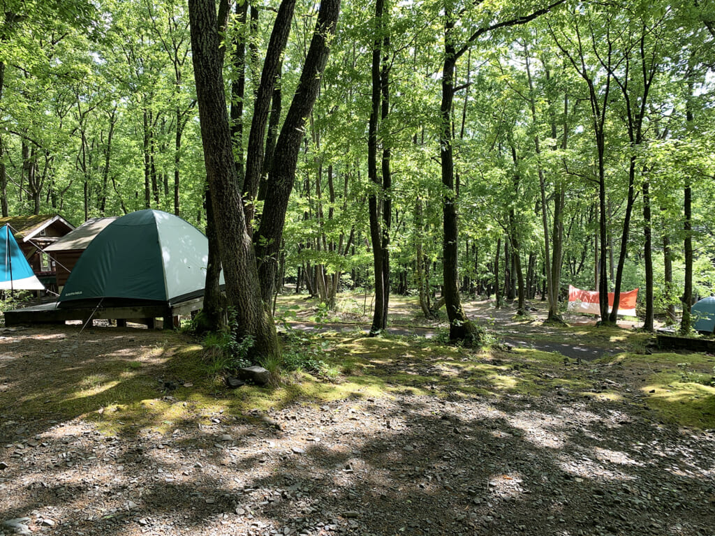 林間サイトでのキャンプ