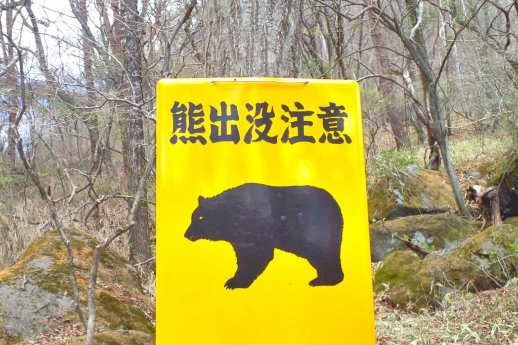 熊出没注意の看板