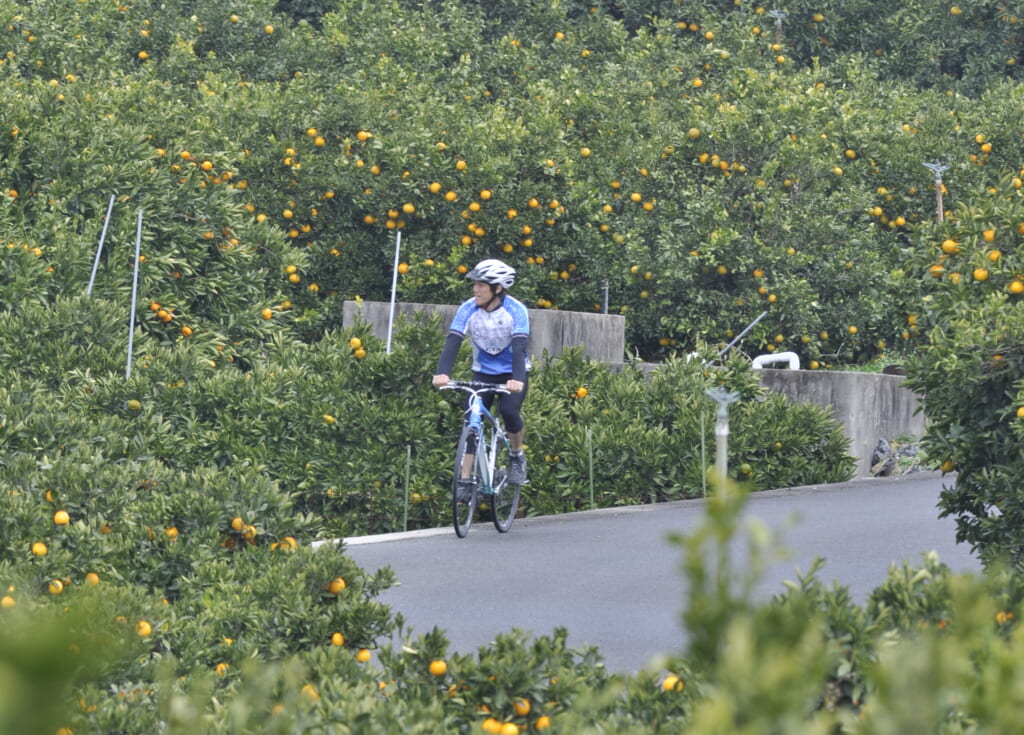 しまなみ海道サイクリング