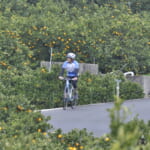 【画像】「しまなみ海道サイクリング」に行くなら必携の一冊！　地元のサイクリストたちが作り上げた最強のガイド本『しまなみ島走PLAN』 〜 画像1