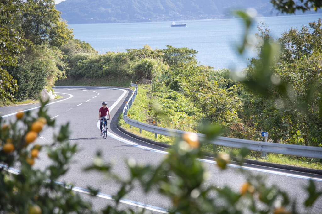 しまなみ海道サイクリング