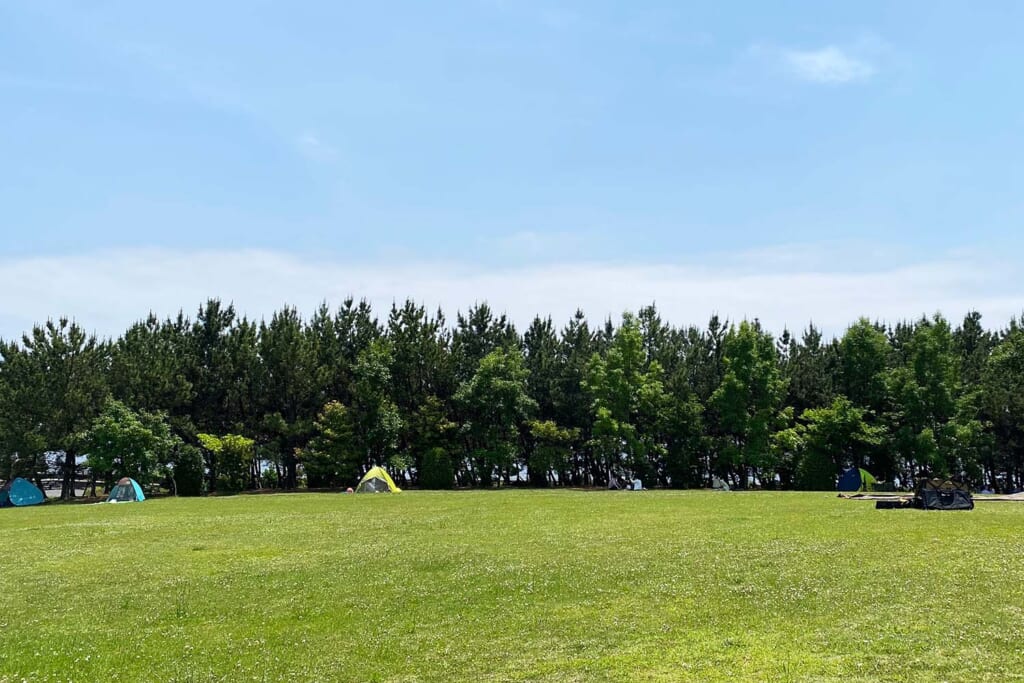 芝生の公園でデイキャンプ