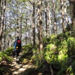 【画像】神秘と絶景の熊野古道を歩く vol.01  太平洋を見下ろす爽快トレイル「熊野古道大辺路」【近畿エリア】 〜 画像1