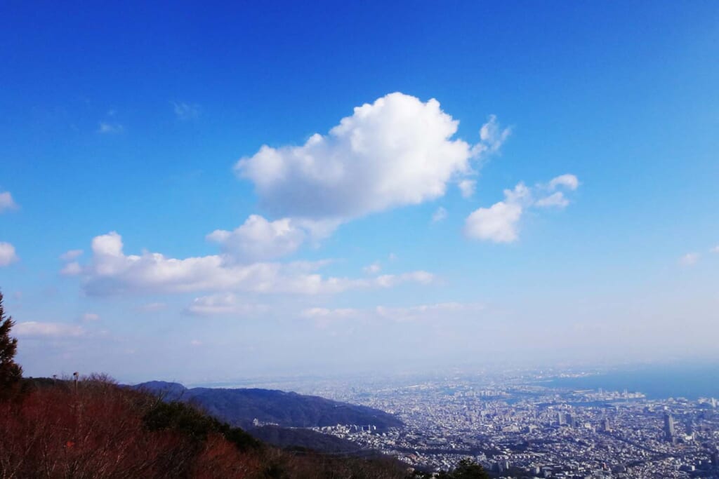 摩耶山の春景