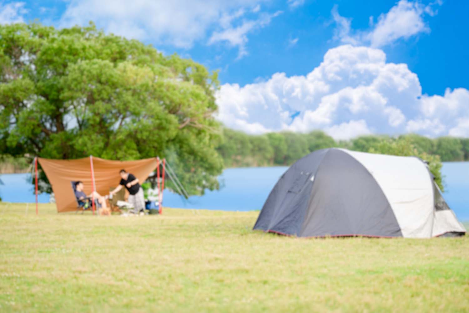 空に浮かぶ雲の正体は何？ 雲のことを知って雲と仲良くなる「雲の図鑑