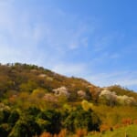 高層雲のおぼろぐも