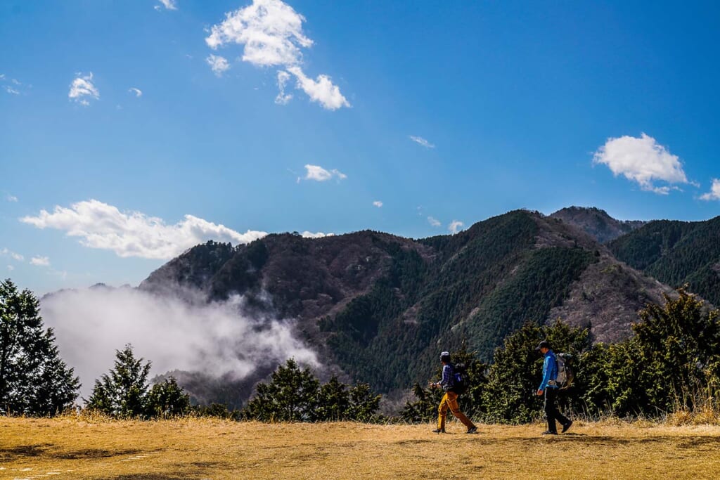 パワースポットの宝庫である御岳山