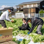 【画像】アウトドアにサラダをプラス！　洗う手間も切る手間もいらない時短食材「カット野菜」が栄養満点で超便利 〜 画像1