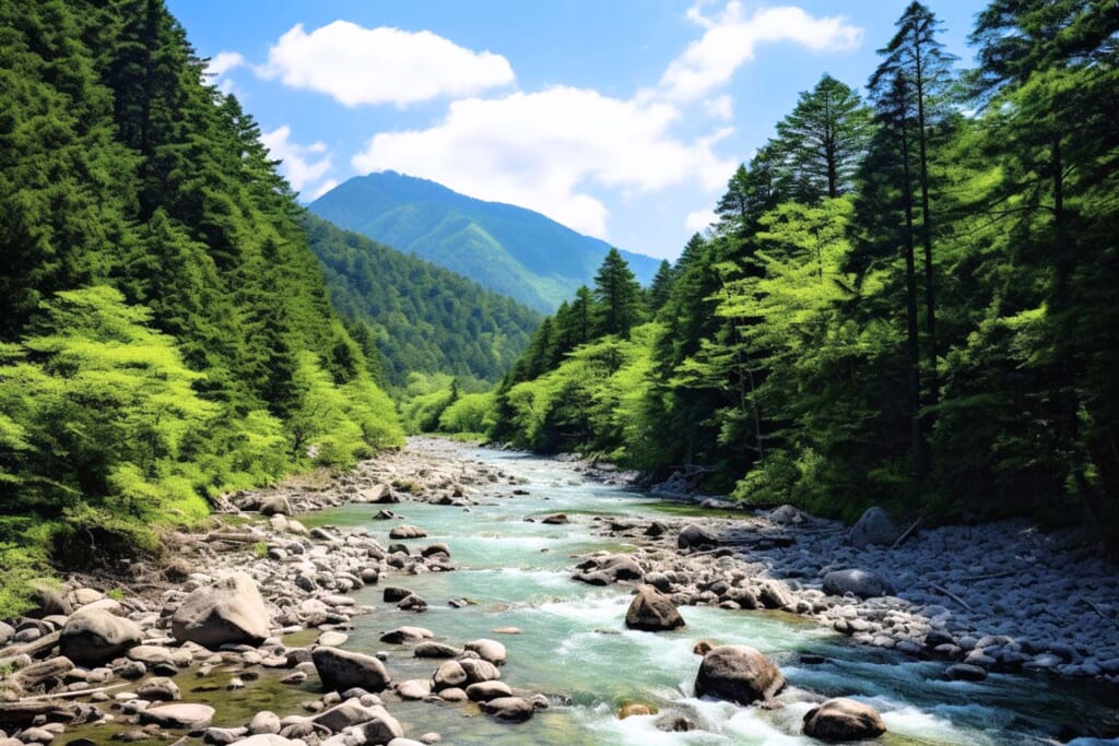 涼しげな渓流が流れる景色