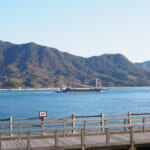 【画像】うさぎと一緒にキャンプができる⁉︎　休暇村大久野島で「うさキャン」してみました！　【中国・四国エリア】 〜 画像1