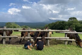 戸隠キャンプ場のウマの前