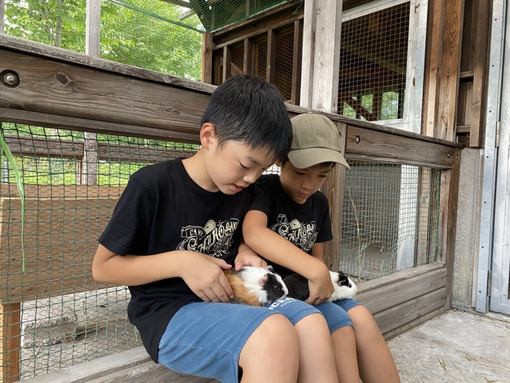 戸隠キャンプ場で小動物とふれあい