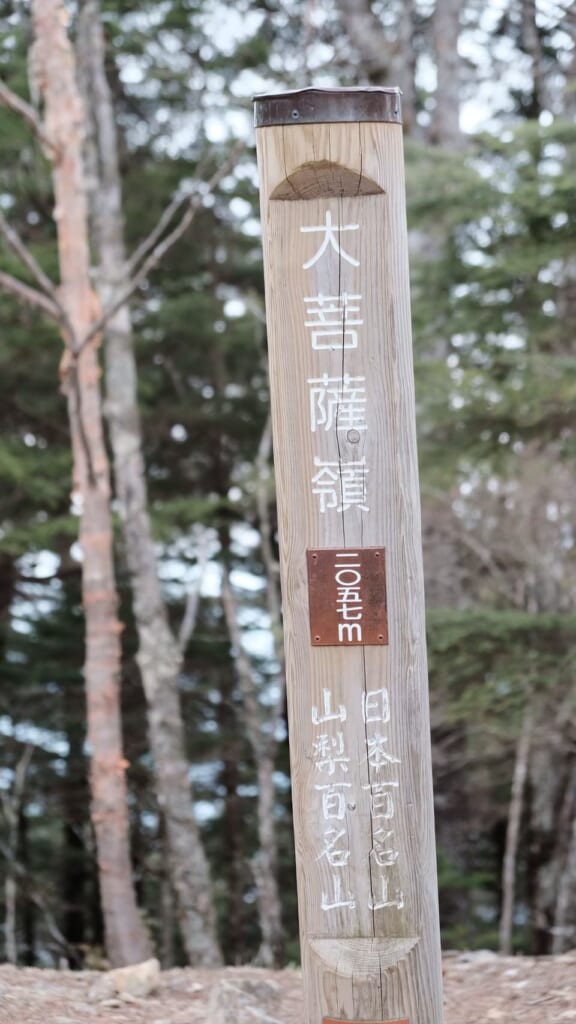 大菩薩嶺頂上の木柱