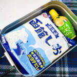 【画像】「町中華」ならぬ「山中華」！　しかも「 100円ショップ」食材だけで作る「絶品山ごはん」3品 〜 画像1