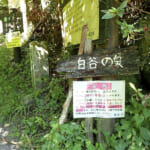 【画像】奥多摩で「ゴルジュ攻め」！　やってみたら「冒険感」ゼンカイだった【棒ノ折山】 〜 画像1