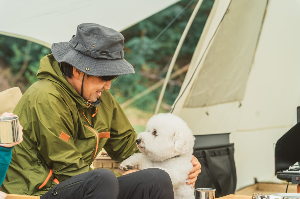 愛犬とキャンプ