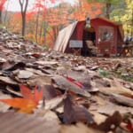 紅葉するキャンプ場
