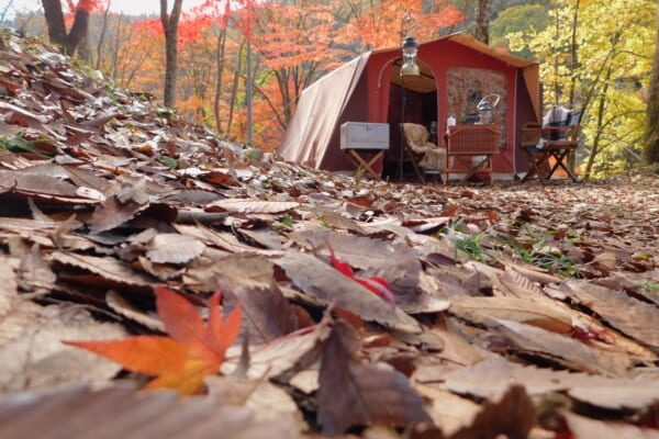 紅葉するキャンプ場