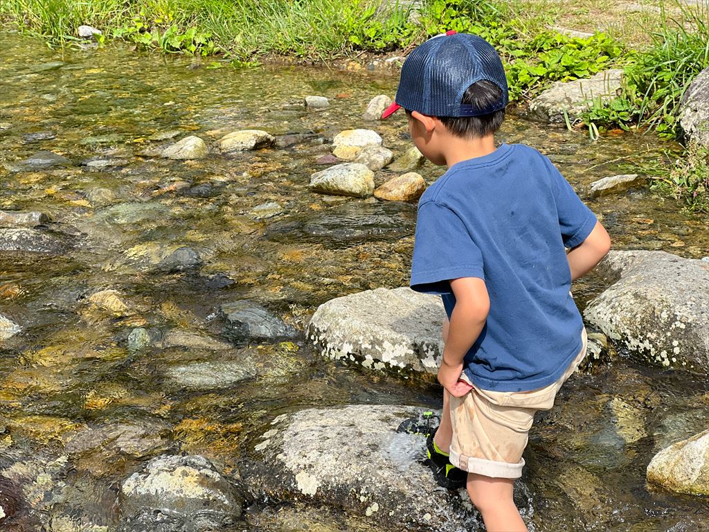 小川で小魚を探す男の子
