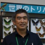 【画像】昆虫の専門家に教えてもらおう！　虫たちとの上手な付き合い方【危険な昆虫編】 〜 画像1