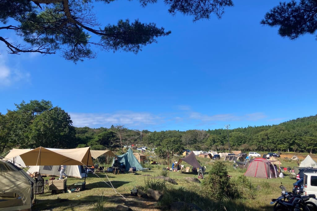 峰山高原　星降る高原キャンプ場