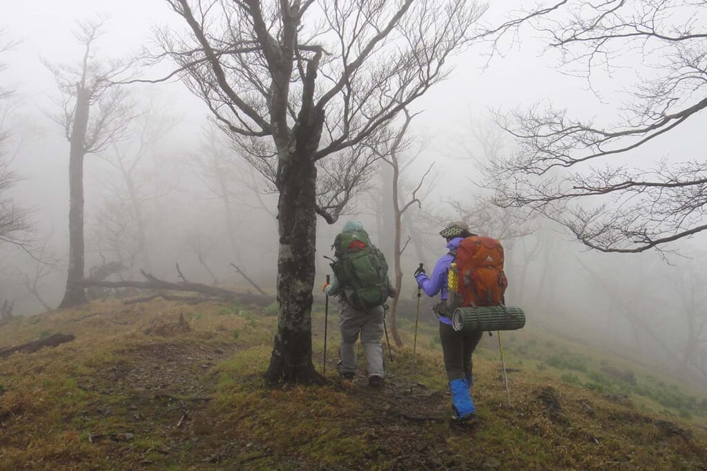 放射霧のなかの登山