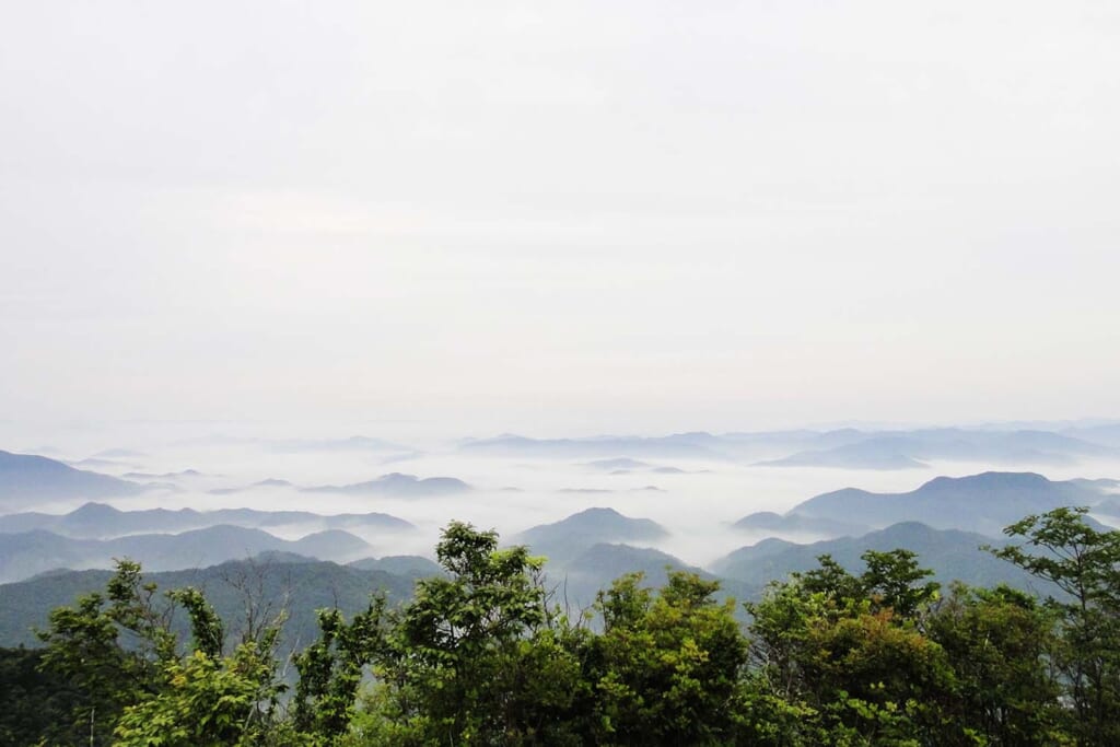 山頂から眺める雲海