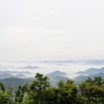 【画像】空に浮かぶ雲の正体は何？　雲のことを知って雲と仲良くなる「雲の図鑑」vol.06 〜霧雲～ 〜 画像1