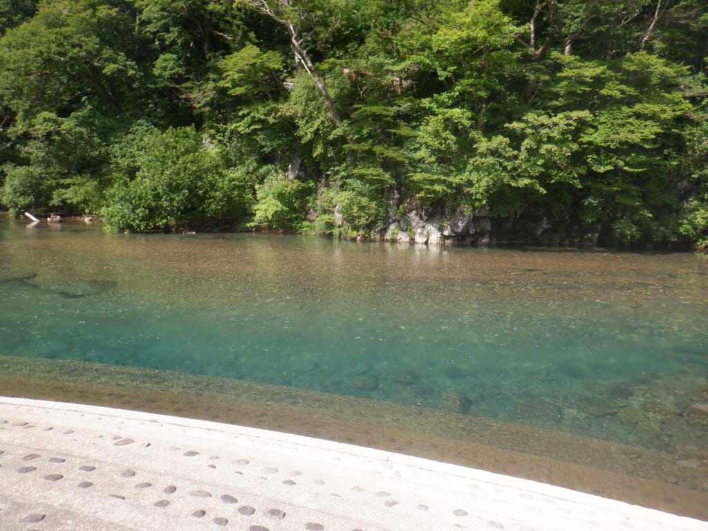 秋田県の法体園地キャンプ場の川