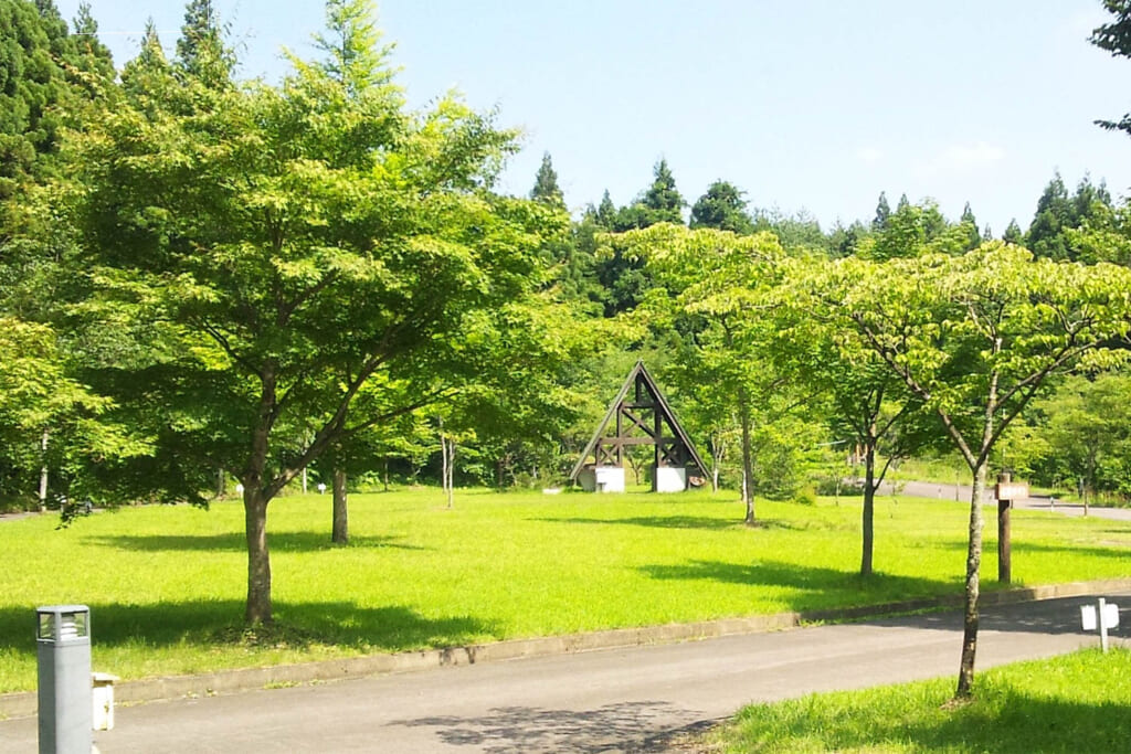 宮城県のるぽぽの森の芝生